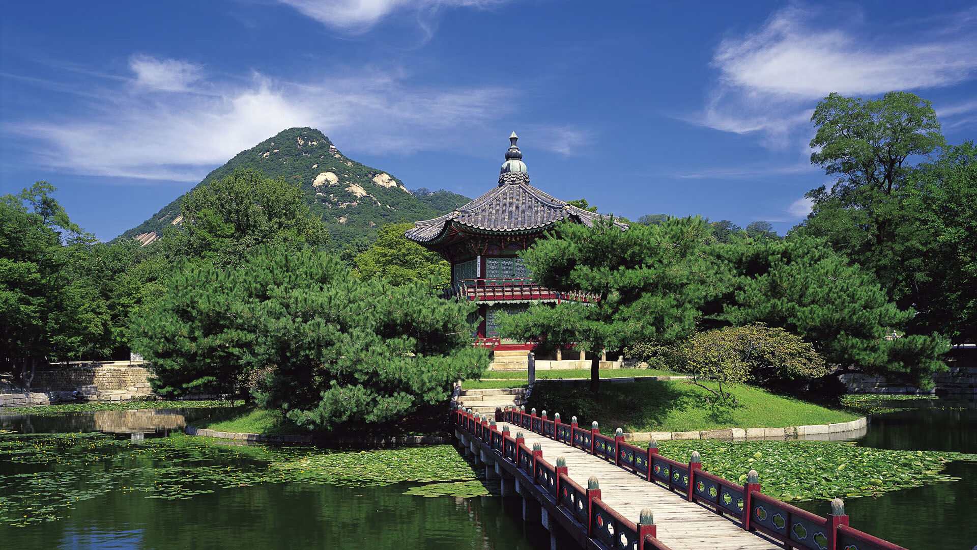 沃尔夫斯堡主场1-0战胜斯图加特，状态回暖，沃尔夫斯堡最近几轮比分