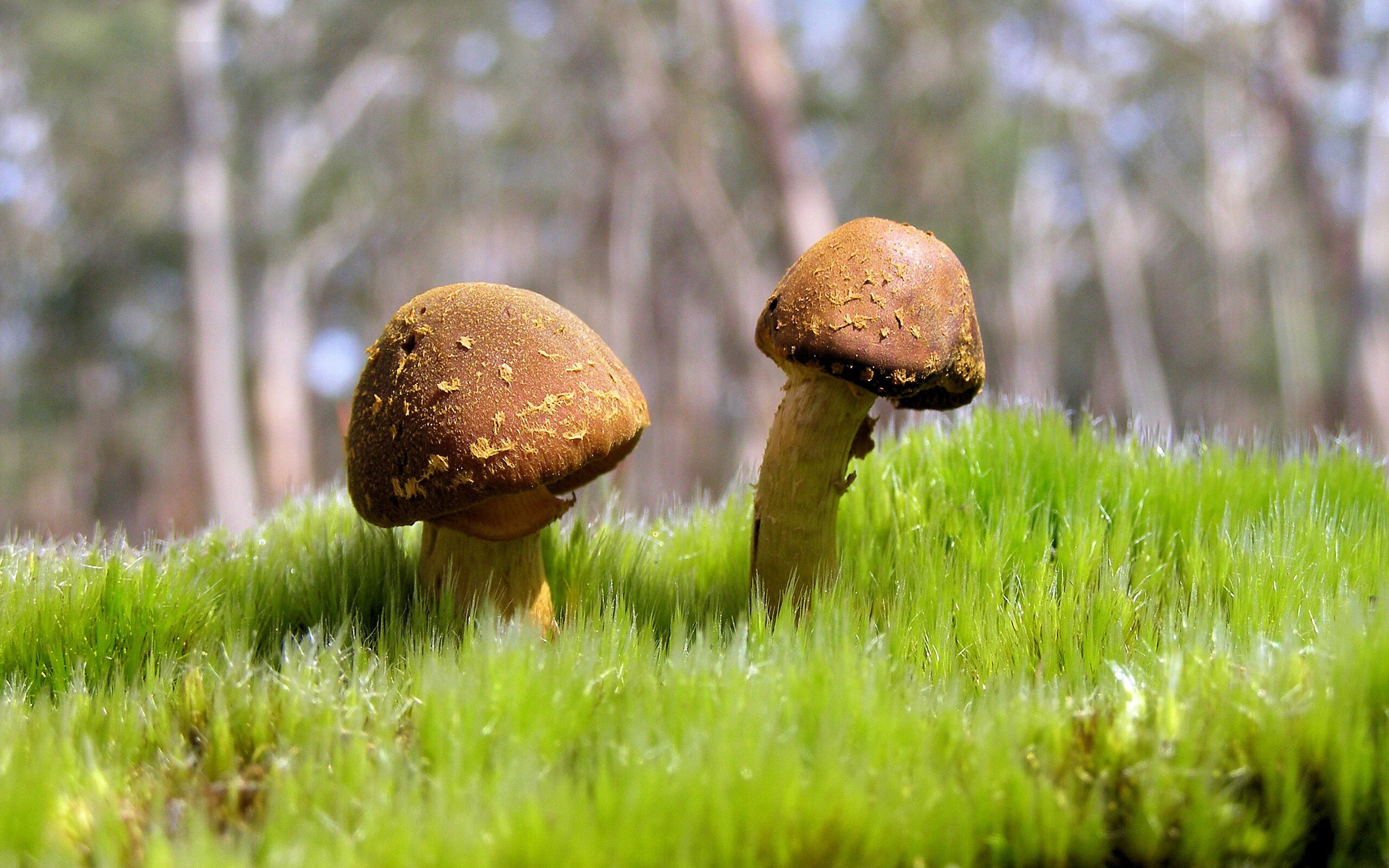 意甲精彩片段：每一次精彩都值得回味，意甲集锦视频