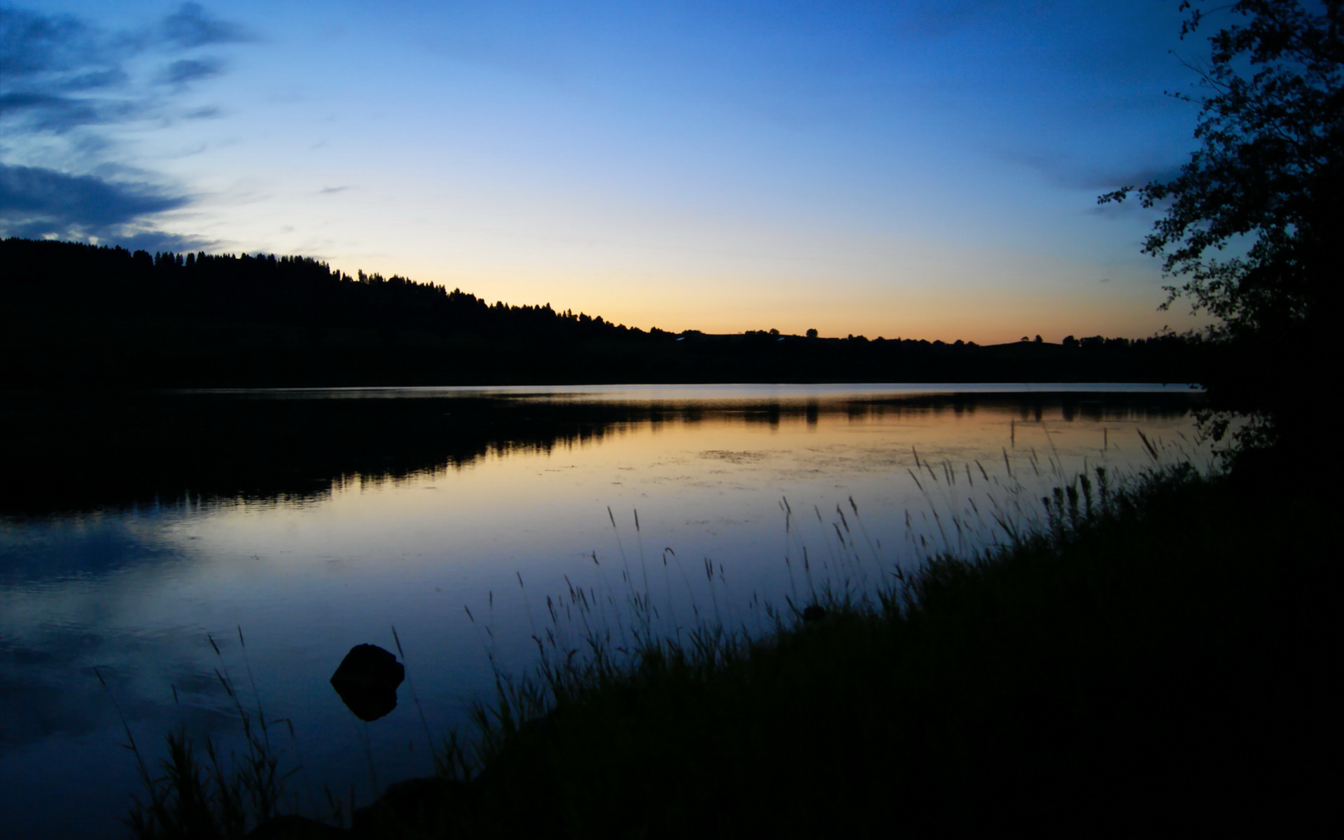 特斯·冯·迪克:南非队的进攻核心,巧妙的脚步令对方防线头痛