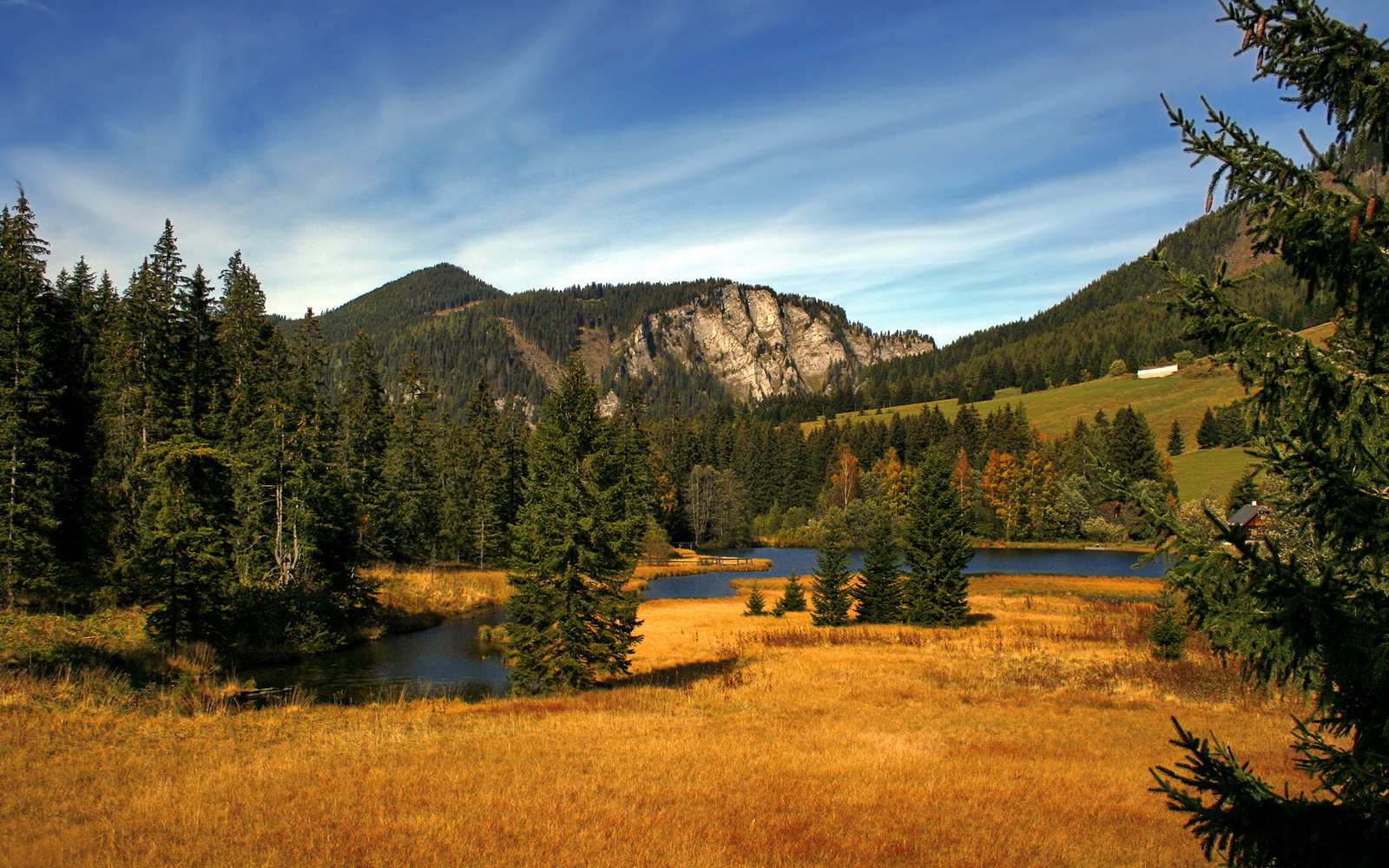 熊猫体育平台安全-美洲杯激情夜晚：明星闪耀，荣耀加冕，美洲杯锦集